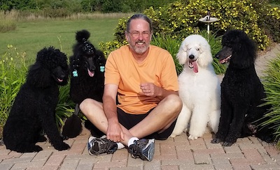 Gladystar Poodles sitting on front walkway with John