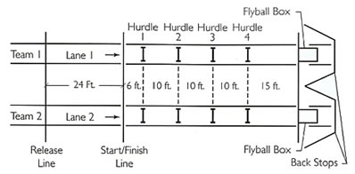 Flyball course